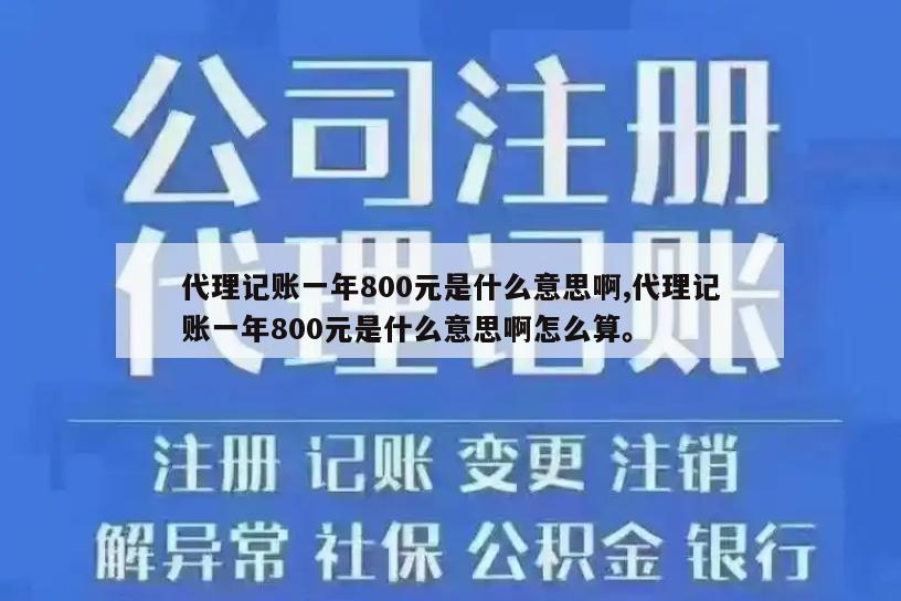 代理记账一年800元是什么意思啊,代理记账一年800元是什么意思啊怎么算。