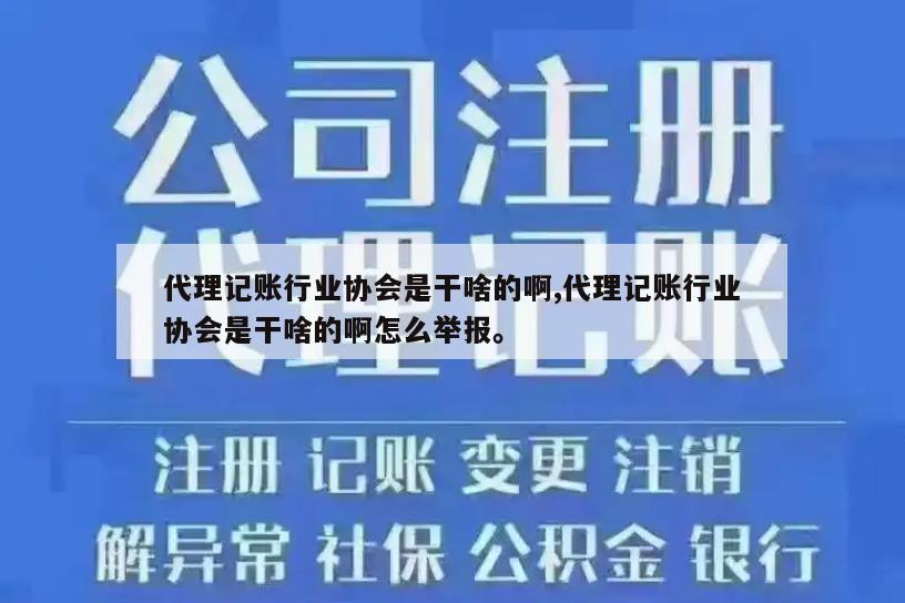 代理记账行业协会是干啥的啊,代理记账行业协会是干啥的啊怎么举报。