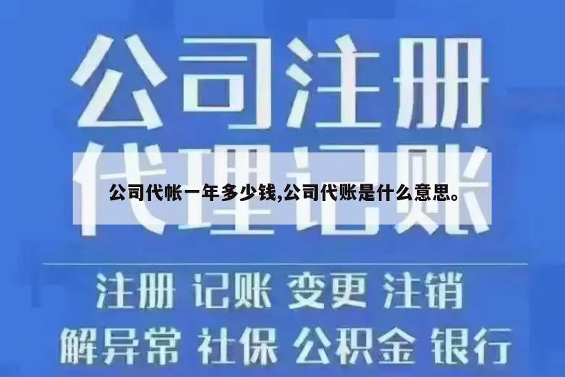 公司代帐一年多少钱,公司代账是什么意思。